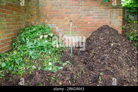 Tas de compost. Compostage à la maison dans un jardin, Royaume-Uni. Deux tas de déchets verts de jardin, représente le jardinage organique. Banque D'Images