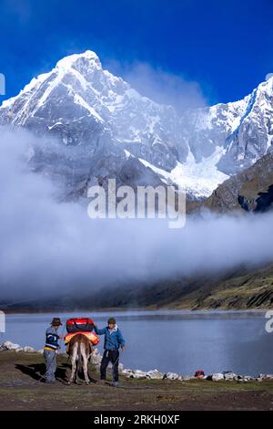 Ânes emballés pour déplacer camp, lac Carhuacocha, montrant Mt Yerupaja Chico et Mt Jirisanca Grande, Cordillera Huayhuash circuit de trekking Banque D'Images