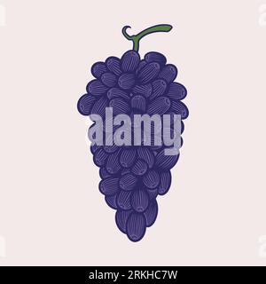 Dessin vectoriel illustration grappes de raisin. Design dessiné à la main à raisins violets colorés isolé avec un style rétro. Verre de vigne et branche de raisin. Antique Illustration de Vecteur