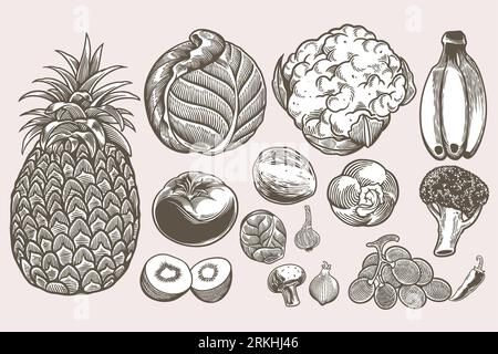 Vegan doodle Set collection de croquis dessinés à la main modèles de gravure vintage doodle. Éléments isolés détaillés sur fond blanc, parfait pour les hommes Illustration de Vecteur