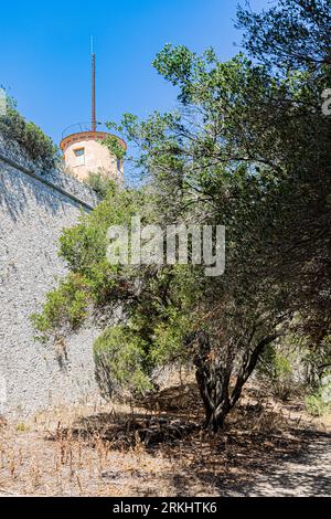 Sur l'île de Sainte-Marguerite, dans l'archipel de Lérins face à Cannes. Sur l'île Sainte-Marguerite, dans l'archipel de Lérins face à Cannes. Banque D'Images