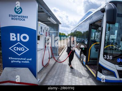 Rostock, Allemagne. 02 août 2023. Susann Klier insère le tuyau du réservoir pour le ravitaillement en biométhane dans la cuve d’un bus de service du nouveau dépôt de Rostocker Straßenbahn AG (RSAG). Après six mois de travaux de conversion, le site des autobus réguliers a été adapté pour les systèmes de propulsion alternatifs. Les bus peuvent être ravitaillés en énergie électrique et en biométhane, et il est prévu de convertir progressivement tous les services de bus en systèmes d’entraînement respectueux du climat au cours des prochaines années. Crédit : Jens Büttner/dpa/Alamy Live News Banque D'Images