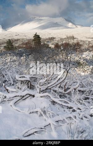 Conditions hivernales à Torridon, West Highlands of Scotland, Royaume-Uni Banque D'Images