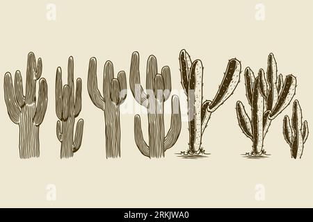 Cactus et succulent ensemble dessiné à la main. Différents cactus gravant l'ancien élément de design vintage. Concept de plante d'intérieur exotique. Vector Cute House interior pl Illustration de Vecteur