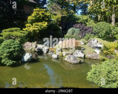 Un paysage idyllique avec un jardin de thé japonais rempli de feuillage luxuriant et d'eau tranquille Banque D'Images