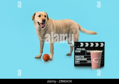 Chien Labrador mignon avec seau de pop-corn, boule de jouet et clapperboard sur fond bleu Banque D'Images