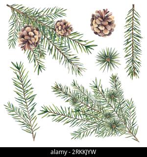 Un ensemble de branches de sapin avec des cônes. Sapin de Noël. Conifères, pin. Illustration à l'aquarelle. Jours fériés. Noël et nouvel an Banque D'Images