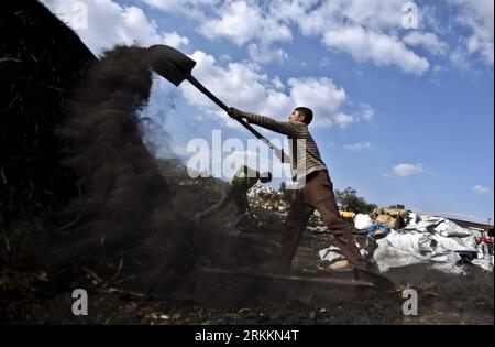 Bildnummer : 56261950 Datum : 08.11.2011 Copyright : imago/Xinhua (111108) -- YABAD, 8 novembre 2011 (Xinhua) -- des travailleurs palestiniens travaillent sur un site de production de charbon dans la ville de Yabad, en Cisjordanie, près de Djénine, le 8 novembre 2011. L ' industrie charbonnière, qui consiste à brûler de grandes quantités de bois pendant plus de 21 jours, pollue gravement l ' environnement et crée un risque élevé de problèmes respiratoires pour les travailleurs palestiniens et les habitants de la région. (Xinhua/Fadi Arouri) MIDEAST-CISJORDANIE-INDUSTRIE CHARBONNIÈRE-PALESTINIENS PUBLICATIONxNOTxINxCHN Wirtschaft Köhlerei Köhler Holzkohle Produktion x1x xkg 2011 quer au Banque D'Images