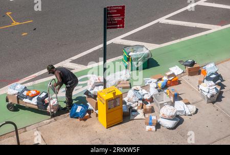 Un employé d’Amazon trie les livraisons sur le trottoir pour distribution dans le quartier Chelsea de New York le dimanche 20 août 2023. (© Richard B. Levine) Banque D'Images