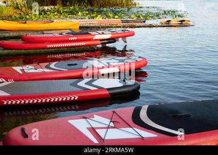 Sup Stand up paddle board sur l'eau bleue de fond. de nombreuses planches de paddle sur le rivershore. tourisme aquatique et sports actifs Banque D'Images