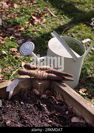 Préparations pour planter une rangée de carottes dans un lit surélevé Banque D'Images