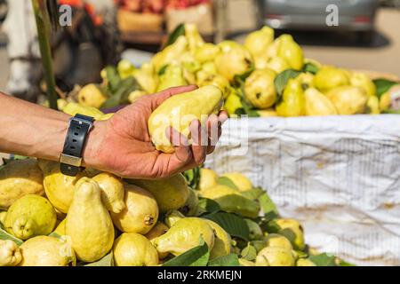 Caire, Egypte, Afrique. Marché de rue. Guavas à vendre sur un marché extérieur. Banque D'Images