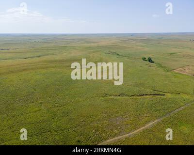 Prairie vista à Tallgrass Prairie National Preserve près de Strong City, Kansas, États-Unis. Banque D'Images