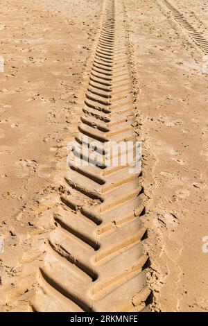 Traces de tracteurs vues dans le sable fin sur la plage entre Holkham et Wells-Next-Sea à Norfolk, prise le 14 août 2023. Banque D'Images