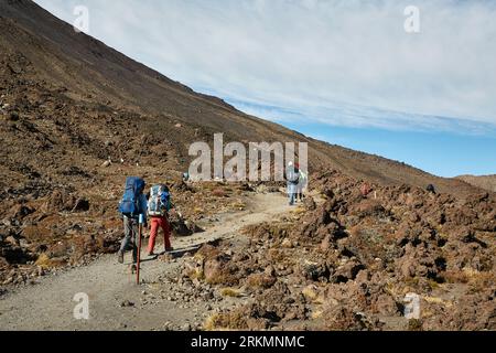 Sentier de randonnée néo-zélandais dans le parc national de Tongariro Banque D'Images