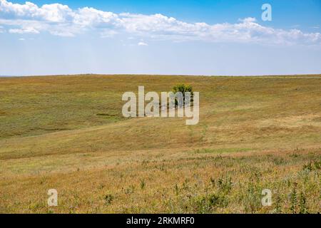 Prairie vista à Tallgrass Prairie National Preserve près de Strong City, Kansas, États-Unis. Banque D'Images