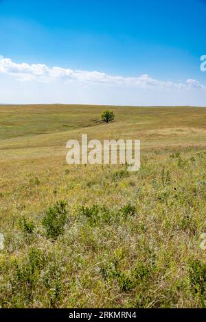 Prairie vista à Tallgrass Prairie National Preserve près de Strong City, Kansas, États-Unis. Banque D'Images