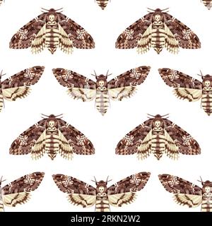 Modèle sans couture avec Deaths Head Hawk Moth. Papillon tropical nocturne. Symbole mystique. Illustration de Vecteur