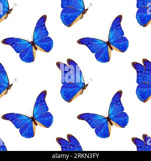Modèle sans couture avec papillon bleu. Insecte tropical. Couleurs néon. Illustration de Vecteur