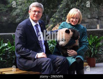 (120211) -- CHONGQING, 11 févr. 2012 (Xinhua) -- le Premier ministre canadien Stephen Harper rend visite à son épouse Laureen pendant qu'elle tient un panda dans un zoo de Chongqing, dans le sud-ouest de la Chine, le 11 février 2012. (Xinhua/Li Jian) CHINA-CHONGQING-CANADIAN PM-VISIT (CN) PUBLICATIONxNOTxINxCHN Banque D'Images