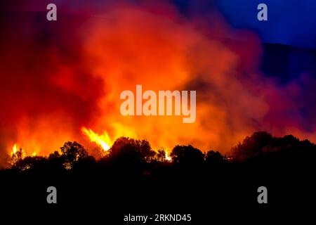 Alexandroupoli - Grèce, 21 août 2023 incendies de forêt dans la préfecture d'Evros, dans le nord de la Grèce, le plus grand incendie jamais connu en Europe Banque D'Images