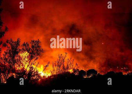 Alexandroupoli - Grèce, 21 août 2023 incendies de forêt dans la préfecture d'Evros, dans le nord de la Grèce, le plus grand incendie jamais connu en Europe Banque D'Images