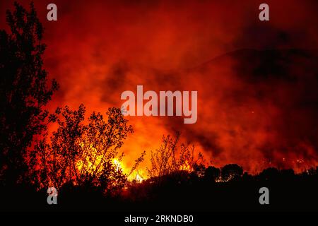 Alexandroupoli - Grèce, 21 août 2023 incendies de forêt dans la préfecture d'Evros, dans le nord de la Grèce, le plus grand incendie jamais connu en Europe Banque D'Images