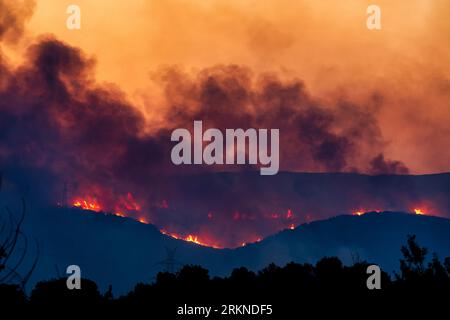 Alexandroupoli - Grèce, 21 août 2023 incendies de forêt dans la préfecture d'Evros, dans le nord de la Grèce, le plus grand incendie jamais connu en Europe Banque D'Images