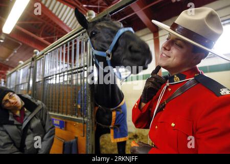 Bildnummer : 57200415 Datum : 03.03.2012 Copyright : imago/Xinhua (120304) -- OTTAWA, le 4 mars 2012 (Xinhua) -- Une gendarme invite son cheval pour un baiser en échange d'un morceau de carotte aux écuries carrousel de la GRC à Ottawa, Canada, le 3 mars 2012. La Gendarmerie royale du Canada (GRC) a ouvert ses écuries, sur le terrain du Collège canadien de police, pour organiser une collecte de fonds pour la Banque alimentaire d'Ottawa. Il s'agissait d'un événement pour les enfants et les familles qui leur permettait de voir et de participer à des manifestations de la GRC et des Forces canadiennes.(Xinhua/David Kawai) (dtf) CANADA-OTTAWA-GRC-JOUR D'OUVERTURE DE LA GRC Banque D'Images