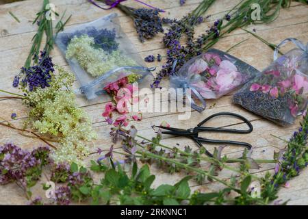 Sachets parfumés Self made, différentes plantes parfumées a mettre dans des sacs de gaze : lavande, fleurs de rose, Meadow Sweet, marjolaine et Hyssop Banque D'Images