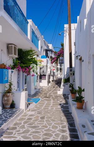 Naousa, GR - 2 août 2023 : rue typique en galets avec bougainvilliers dans les Cyclades Banque D'Images