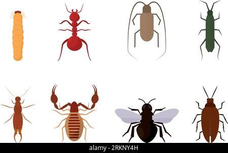 Ensemble de différentes icônes d'insectes de couleur vecteur Illustration de Vecteur