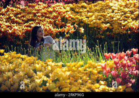 Bildnummer : 57932352 Datum : 25.04.2012 Copyright : imago/Xinhua (120426) -- ISTANBUL, 26 avril 2012 (Xinhua) -- Une fille prend des photos parmi les tulipes au parc Emirgan à Istanbul, Turquie, le 25 avril 2012. Plus de 11,6 millions de tulipes fleurissent dans le parc en avril, attirant de nombreux citoyens et touristes. (Xinhua/Ma Yan) (hdt) TURQUIE-ISTANBUL-TULIP PUBLICATIONxNOTxINxCHN Gesellschaft Frühling Jahreszeit Tulpen Blumen xjh x0x 2012 quer 57932352 Date 25 04 2012 Copyright Imago XINHUA Istanbul avril 26 2012 XINHUA une fille prend des photos parmi les TULIPES AU parc Emirgan à Istanbul Turquie LE 25 2012 avril OV Banque D'Images