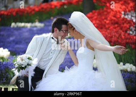 Bildnummer : 57932358 Datum : 25.04.2012 Copyright : imago/Xinhua (120426) -- ISTANBUL, 26 avril 2012 (Xinhua) -- une paire de jeunes mariés s'amusent parmi les tulipes à Emirgan Park à Istanbul, Turquie, le 25 avril 2012. Plus de 11,6 millions de tulipes fleurissent dans le parc en avril, attirant de nombreux citoyens et touristes. (Xinhua/Ma Yan) (hdt) TURQUIE-ISTANBUL-TULIP PUBLICATIONxNOTxINxCHN Gesellschaft Hochzeit Braut Bräutigam Hochzeitspaar xjh x0x 2012 quer Highlight 57932358 Date 25 04 2012 Copyright Imago XINHUA Istanbul avril 26 2012 XINHUA une paire de jeunes mariés s'amusent parmi les TULIPES À EM Banque D'Images