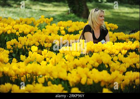 Bildnummer : 57932353 Datum : 25.04.2012 Copyright : imago/Xinhua (120426) -- ISTANBUL, 26 avril 2012 (Xinhua) -- Une fille prend des photos parmi les tulipes au parc Emirgan à Istanbul, Turquie, le 25 avril 2012. Plus de 11,6 millions de tulipes fleurissent dans le parc en avril, attirant de nombreux citoyens et touristes. (Xinhua/Ma Yan) (hdt) TURQUIE-ISTANBUL-TULIP PUBLICATIONxNOTxINxCHN Gesellschaft Frühling Jahreszeit Tulpen Blumen xjh x0x 2012 quer 57932353 Date 25 04 2012 Copyright Imago XINHUA Istanbul avril 26 2012 XINHUA une fille prend des photos parmi les TULIPES AU parc Emirgan à Istanbul Turquie LE 25 2012 avril OV Banque D'Images