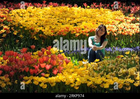 Bildnummer : 57932356 Datum : 25.04.2012 Copyright : imago/Xinhua (120426) -- ISTANBUL, 26 avril 2012 (Xinhua) -- Une fille prend des photos parmi les tulipes au parc Emirgan à Istanbul, Turquie, le 25 avril 2012. Plus de 11,6 millions de tulipes fleurissent dans le parc en avril, attirant de nombreux citoyens et touristes. (Xinhua/Ma Yan) (hdt) TURQUIE-ISTANBUL-TULIP PUBLICATIONxNOTxINxCHN Gesellschaft Frühling Jahreszeit Tulpen Blumen xjh x0x 2012 quer Highlight 57932356 Date 25 04 2012 Copyright Imago XINHUA Istanbul avril 26 2012 XINHUA une fille prend des photos parmi les TULIPES AU parc Emirgan à Istanbul Turquie en avril Banque D'Images