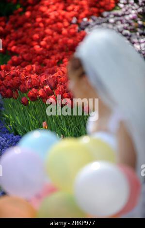 Bildnummer : 57932359 Datum : 25.04.2012 Copyright : imago/Xinhua (120426) -- ISTANBUL, 26 avril 2012 (Xinhua) -- Une mariée est vue parmi des tulipes au parc Emirgan à Istanbul, Turquie, le 25 avril 2012. Plus de 11,6 millions de tulipes fleurissent dans le parc en avril, attirant de nombreux citoyens et touristes. (Xinhua/Ma Yan) (hdt) TURQUIE-ISTANBUL-TULIP PUBLICATIONxNOTxINxCHN Gesellschaft Hochzeit Symbol xjh x0x 2012 hoch 57932359 Date 25 04 2012 Copyright Imago XINHUA Istanbul avril 26 2012 XINHUA une mariée EST des lacs parmi les TULIPES À Emirgan Park à Istanbul Turquie LE 25 2012 avril plus de 11 6 millions de TULIPES BL Banque D'Images