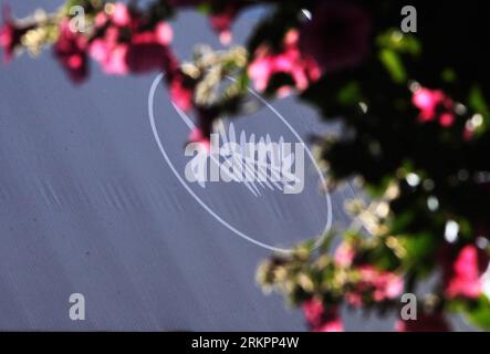 (120527) -- CANNES, 27 mai 2012 (Xinhua) -- le logo de la Palme d'Or est visible sur cette photo prise au 65e Festival de Cannes, à Cannes, dans le sud de la France, le 26 mai 2012. Le 65e Festival de Cannes organisera dimanche soir une cérémonie de clôture glamour au cours de laquelle tous les prix seront dévoilés. (Xinhua/Gao Jing) FRANCE-CANNES PUBLICATIONxNOTxINxCHN Banque D'Images