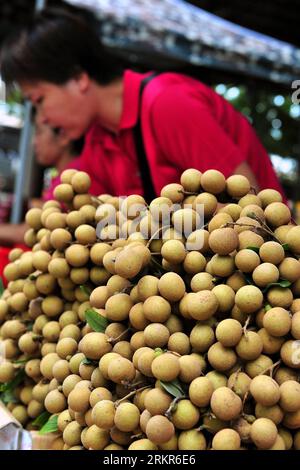 Bildnummer : 58133267 Datum : 21.06.2012 Copyright : imago/Xinhua (120621) -- SANYA, 21 juin 2012 (Xinhua) -- photo prise le 21 juin 2012 montre longan en vente au marché de gros de fruits à Sanya, province de Hainan du sud de la Chine. Alors que les fruits tropicaux, y compris la mangue, le jackfruit et le longan entrent dans la saison de récolte, de plus en plus de grossistes ont été attirés vers le marché des fruits. (Xinhua/Hou Jiansen) (mp) CHINA-HAINAN-TROPICAL FRUIT-MARKET (CN) PUBLICATIONxNOTxINxCHN Gesellschaft xjh x2x 2012 hoch o0 Frucht longans Longanfrüchte Dimocarpus Objekte 58133267 Date 21 06 2012 Copyright Imago XINHUA Sanya juin 2 Banque D'Images