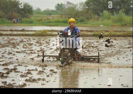 Bildnummer : 58248796 Datum : 16.07.2012 Copyright : imago/Xinhua (120716) -- NANCHANG, 16 juillet 2012 (Xinhua) -- Un agriculteur laboure une riziculture dans le village de Luoshe, comté de Nanchang, ville de Nanchang, capitale de la province de Jiangxi, dans l'est de la Chine, 16 juillet 2012. Les agriculteurs ont adopté les méthodes traditionnelles de transplantation pour obtenir une meilleure récolte. (Xinhua/Zhou mi) (lx) (lb) CHINA-JIANGXI-NANCHANG-RICE PLANTING(CN) PUBLICATIONxNOTxINxCHN Wirtschaft Landwirtschaft Reis Reisfeld Feld xbs x0x 2012 quer 58248796 Date 16 07 2012 Copyright Imago XINHUA Nanchang juillet 16 2012 XINHUA un fermier laboure le champ de riz à Luosh Banque D'Images