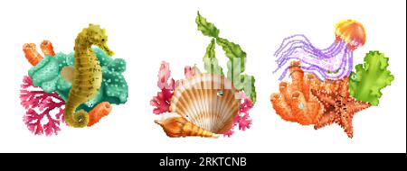 Monde sous-marin trois compositions réalistes composées de méduses de coquilles d'hippocampe étoile de mer corail algue isolée illustration vectorielle Illustration de Vecteur