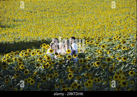 Bildnummer : 58452157 Datum : 09.09.2012 Copyright : imago/Xinhua (120910) -- BALTIMORE, 10 septembre 2012 (Xinhua) -- Une pose de famille pour une photo parmi les tournesols en fleurs à Clear Meadow Farm à Jarrettsville, près de Baltimore, Maryland, États-Unis, 9 septembre, 2012. (Xinhua/Zhang Jun) US-BALTIMORE-SUNFLOWER PUBLICATIONxNOTxINxCHN Gesellschaft Sommer Jahreszeit Symbol Sonnenblume Sonnenblumen x0x xmb 2012 quer 58452157 Date 09 09 2012 Copyright Imago XINHUA Baltimore sept 10 2012 XINHUA une pose de famille pour la photo parmi les tournesols florissants À la ferme Clear Meadow près de Baltimore Maryland Banque D'Images