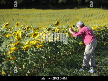 Bildnummer : 58452160 Datum : 09.09.2012 Copyright : imago/Xinhua (120910) -- BALTIMORE, 10 septembre 2012 (Xinhua) -- Une femme prend des photos de tournesols en fleurs à Clear Meadow Farm à Jarrettsville, près de Baltimore, Maryland, États-Unis, 9 septembre, 2012. (Xinhua/Zhang Jun) US-BALTIMORE-SUNFLOWER PUBLICATIONxNOTxINxCHN Gesellschaft Sommer Jahreszeit Symbol Sonnenblume Sonnenblumen x0x xmb 2012 quer 58452160 Date 09 09 2012 Copyright Imago XINHUA Baltimore sept 10 2012 XINHUA une femme prend des photos de tournesols florissants À la ferme Clear Meadow près de Baltimore Maryland les États-Unis Banque D'Images