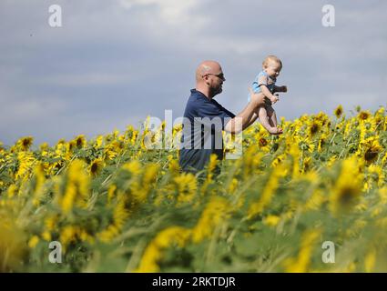 Bildnummer : 58452158 Datum : 09.09.2012 Copyright : imago/Xinhua (120910) -- BALTIMORE, 10 septembre 2012 (Xinhua) -- Un père et son enfant jouent au milieu de tournesols en fleurs à Clear Meadow Farm à Jarrettsville, près de Baltimore, Maryland, États-Unis, 9 septembre, 2012. (Xinhua/Zhang Jun) US-BALTIMORE-SUNFLOWER PUBLICATIONxNOTxINxCHN Gesellschaft Sommer Jahreszeit Symbol Sonnenblume Sonnenblumen x0x xmb 2012 quer 58452158 Date 09 09 2012 Copyright Imago XINHUA Baltimore sept 10 2012 XINHUA un père et son enfant jouer parmi les tournesols en fleurs À la ferme Clear Meadow près de Baltimore Banque D'Images