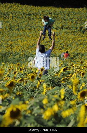 Bildnummer : 58452159 Datum : 09.09.2012 Copyright : imago/Xinhua (120910) -- BALTIMORE, 10 septembre 2012 (Xinhua) -- Un père et son enfant jouent au milieu de tournesols en fleurs à Clear Meadow Farm à Jarrettsville, près de Baltimore, Maryland, États-Unis, 9 septembre, 2012. (Xinhua/Zhang Jun) US-BALTIMORE-SUNFLOWER PUBLICATIONxNOTxINxCHN Gesellschaft Sommer Jahreszeit Symbol Sonnenblume Sonnenblumen x0x xmb 2012 hoch 58452159 Date 09 09 2012 Copyright Imago XINHUA Baltimore sept 10 2012 XINHUA un père et son enfant jouer parmi les tournesols en fleurs À la ferme Clear Meadow près de Baltimore Banque D'Images