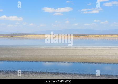 Bildnummer : 58556295 Datum : 05.10.2012 Copyright : imago/Xinhua (121005) -- LAC MAGADI, 5 octobre 2012 (Xinhua) -- la photo prise le 30 septembre 2012 montre le paysage du lac Magadi, qui est le lac le plus au sud de la vallée du Grand Rift du Kenya, à environ 80 miles de Nairobi, capitale du Kenya, le 30 septembre 2012. (Xinhua/Qi Lin) (bxq) KENYA-LAKE MAGADI-FLAMINGOS PUBLICATIONxNOTxINxCHN Reise Landschaft totale x0x xdd 2012 quer 58556295 Date 05 10 2012 Copyright Imago XINHUA Lac Magadi OCT 5 2012 XINHUA la photo prise LE 30 2012 septembre montre le paysage du lac Magadi qui EST Th Banque D'Images