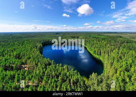 Vue aérienne d'un spectaculaire lac Mustjarv à Nohipalu sur une belle journée ensoleillée d'été, entouré d'une forêt luxuriante, Estonie Banque D'Images