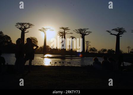 Bildnummer : 58567305 Datum : 07.10.2012 Copyright : imago/Xinhua les gens profitent du coucher de soleil dans l'avenue des baobabs dans la région de Menabe, à l'ouest de Madagascar le 7 octobre 2012. Le baobab est un symbole de Madagascar et l'avenue des baobabs est l'un des endroits les plus visités de Madagascar. (Xinhua/HE Xianfeng) (bxq) MADAGASCAR-MENABE-BAOBABS PUBLICATIONxNOTxINxCHN Reisen Madagaskar Afrika Baobab Baum xjh x0x 2012 quer 58567305 Date 07 10 2012 Copyright Imago XINHUA célébrités Profitez du coucher de soleil dans l'avenue des Baobabs dans la région OUEST de MADAGASCAR LE 7 2012 octobre l'arbre Baobab Banque D'Images