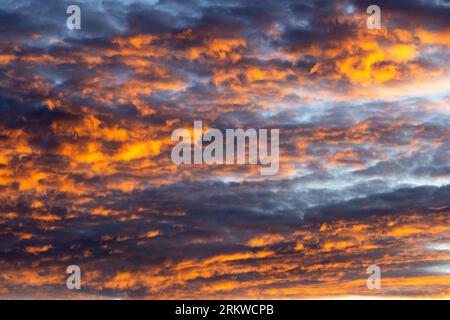 La première lumière du jour illumine une couche de nuages altocumulus pendant la saison des pluies dans le parc national de Ruaha. Banque D'Images