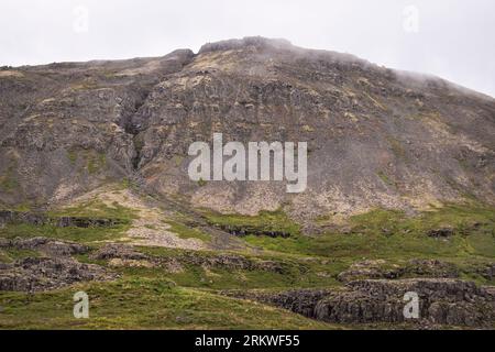 Sols et couches rocheuses sur une colline aride dans le biome de la toundra près de la cascade de Dynjandi avec lichens et mousses au premier plan Banque D'Images